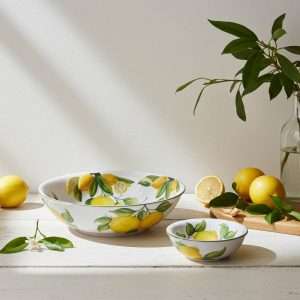 details of Bowl, Small Bowl, and Ceramic Plate with Lemon Design and leaves on a white background